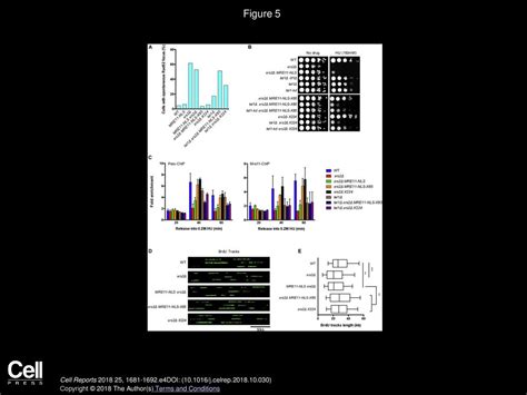 Julyun Oh So Jung Lee Rodney Rothstein Lorraine S Symington Ppt Download