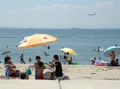 愛知県のおすすめのビーチ・海水浴場【2024年版】 期間やイベント、海の家の軒数など情報満載｜まっぷるウェブ