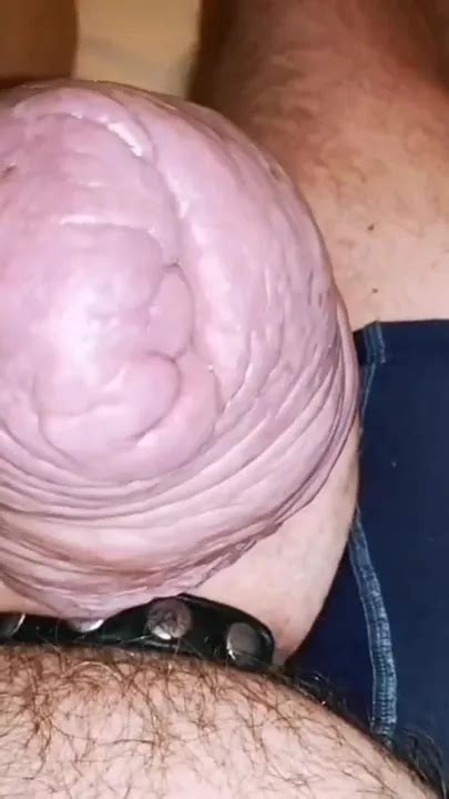 V Deos De Bulto Gay Gratis Xhamster