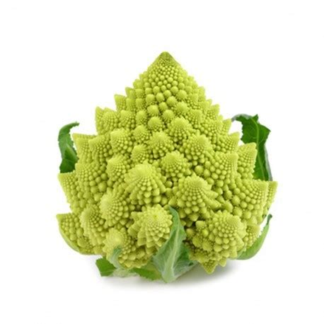 Planta de Romanesco (Ciclo Corto) — Tasico Plant