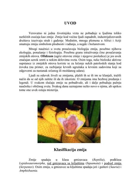 Zmije otrovnice biologija | PDF