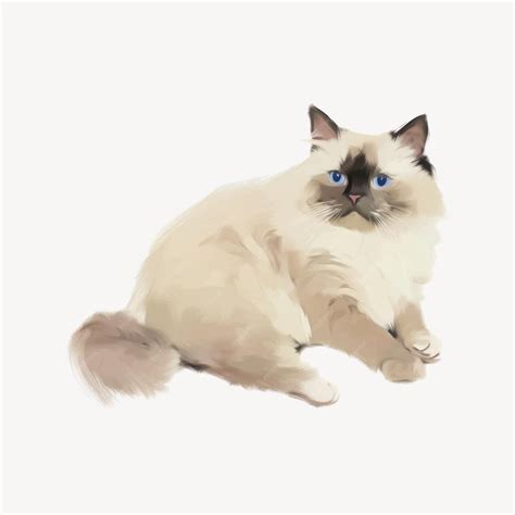 Fluffy Ragdoll cat digital illustration | Premium AI-generated vector