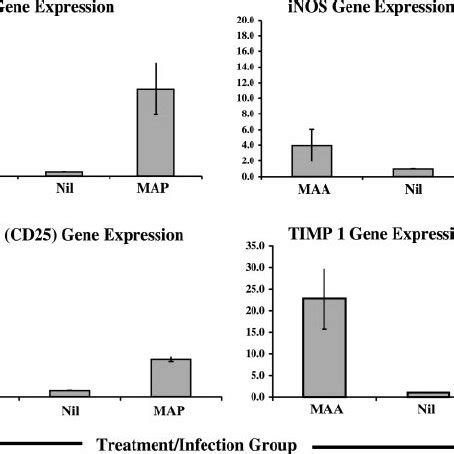 Expression Of Genes Encoding Apoptosis Related Proteins In Mature Mdm