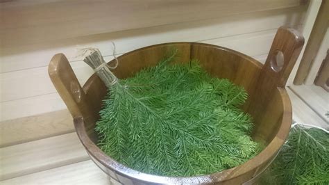 Можжевеловые веники для бани: как запарить веник из можжевельника ...