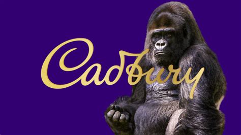 The Magic Behind Cadbury’s 2007 Gorilla Advert