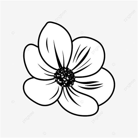 Black And White Line Six Petal Flower Clipart Vector and PNG