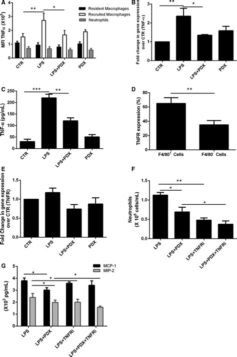 PDX Inhibited Neutrophil Infiltration Via Recruited Macrophage