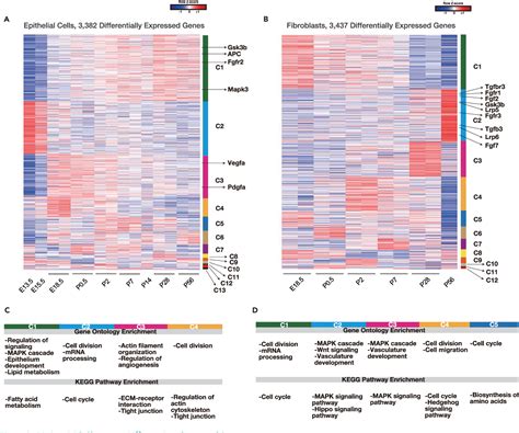 Figure 2 From Mesenchymal Epithelial Interactome Analysis Reveals