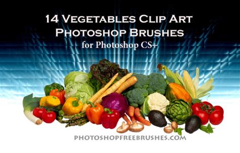 14 Vegetable Clip Art Photoshop Brushes Photoshop Free Brushes