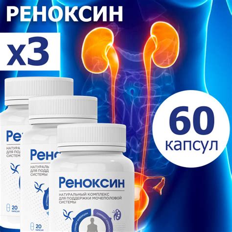 Реноксин натуральный комплекс для поддержки мочеполовой системы ...