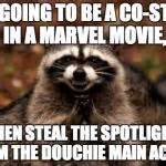 Evil Plotting Raccoon Meme Generator Imgflip