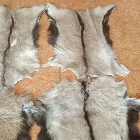 Natural Goat Skin Pelt Fur Agrohortipbacid