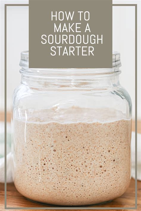 Homemade Sourdough Starter Artofit