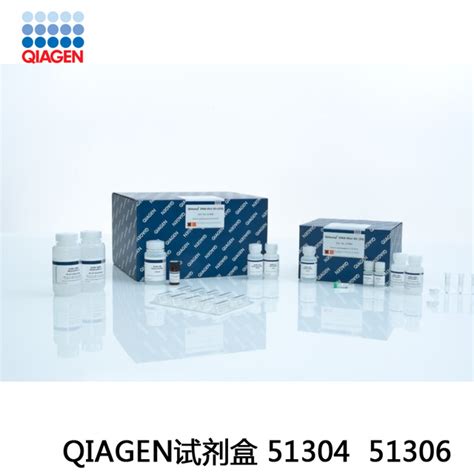 Qiagen 试剂盒 Qiaamp Dna Mini Kit 51304 阿里巴巴