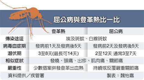 史上首例 本土屈公病現蹤新北 社會新聞 中國時報