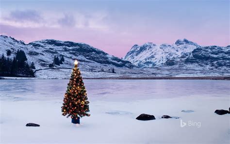 Bing Christmas Tree Wallpapers - Wallpaper Cave