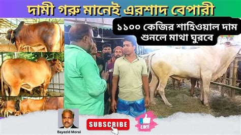 গাবতলীহাটে সবচেয়ে দামী গরু বিক্রি করে এরশাদ বেপারী দেখুন তার গরু