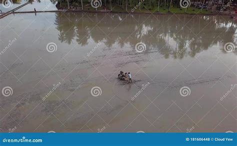 área Aérea Reveladora De Plantações De Arroz Casca arroz Nas