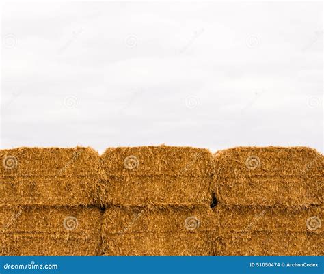 Six Stacked Yellow Hay Bales On Overcast Sky Stock Photo Image Of