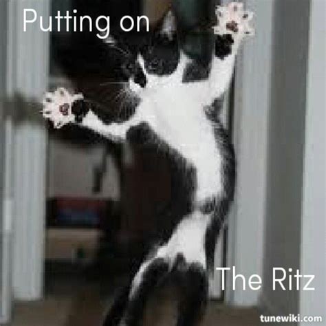 Putting On The Ritz By Taco Putting On The Ritz Ritz Wtf Funny