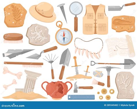 Archeological Tool Instrument And Digging Equipment Fossil Plants