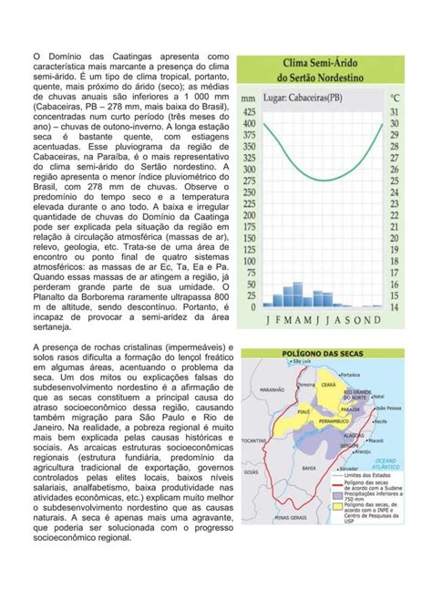 O Dom Nio Das Caatingas Pdf