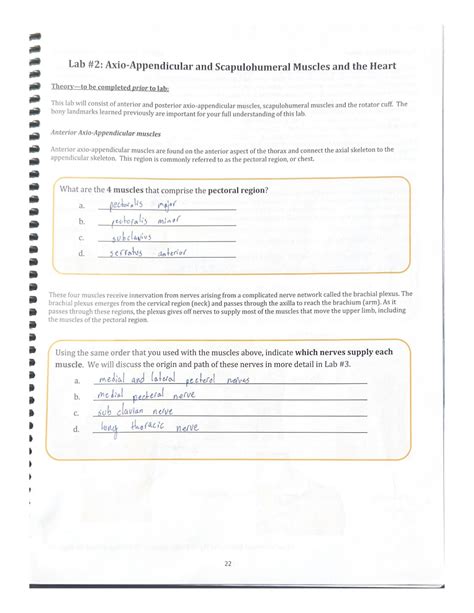 Solution Lab Axio Appendicular And Scapulohumeral Muscles And The