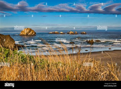 face rock cats  kittens rock bandon beach view  sunrise oregon