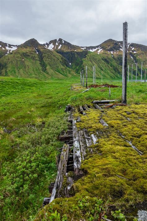 Massacre Bay, Attu Island, Aleutian Islands | travelimages.com.au