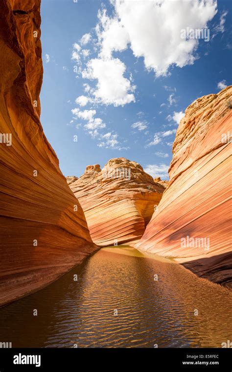 The Wave Arizona Reflections And Amazing Flowing Rock Formation In The