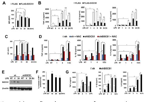 Figure 1 From Anti Inflammatory Mechanisms Of Suppressors Of Cytokine