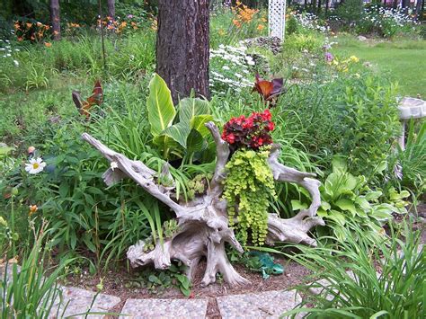 Using Driftwood For Landscaping The Urban Decor