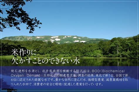 【楽天市場】【ふるさと納税】3人に1人がリピーター 白米 20kg＋600g ≪配送時期が選べます≫ 令和3年産 東北有数のお米の産地