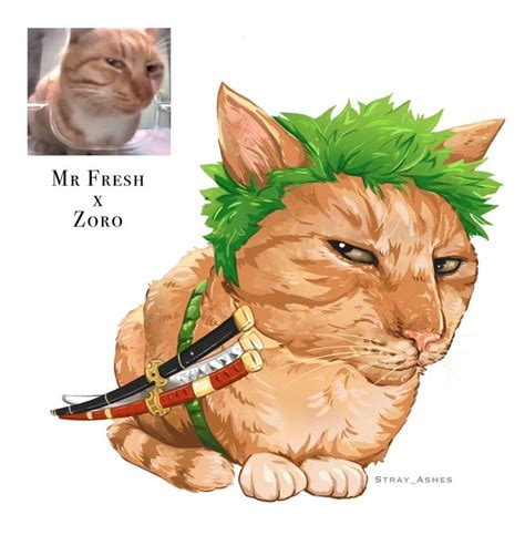 And sooo it begins, my silly silly collection of One Piece characters as internet famous Cat ...