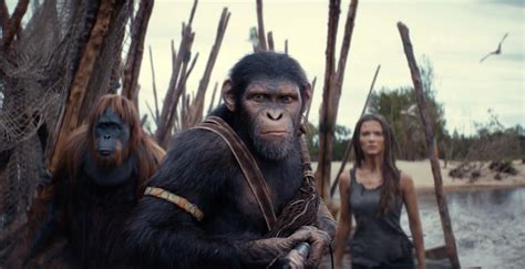 Kingdom Of The Planet Of The Apes Film Review And Listings