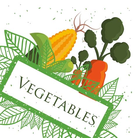 Premium Vector Vegetables Fresh Healthy Nutrition Poster