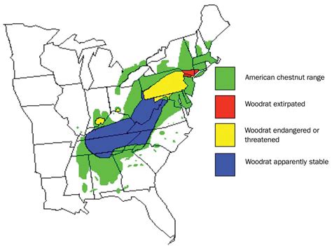 Allegheny woodrat range map | Kathleen LoGiudice