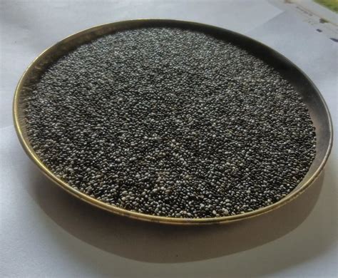 Natural Dry Black Chia Seed For Human Consumption At Rs Kg In