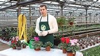 Егорьевский тепличный комбинат - YouTube