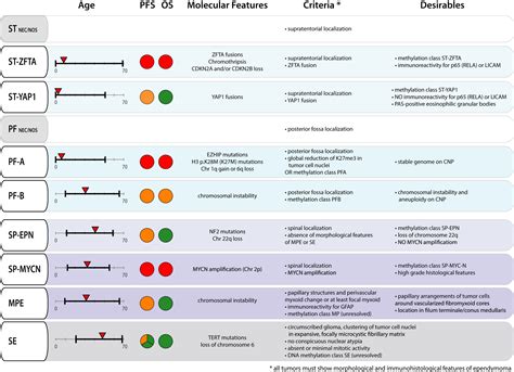 Updates In The Classification Of Ependymal Neoplasms The 2021 WHO