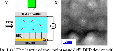 Figure From Inlaid Carbon Nanofiber Nanoelectrode Array As Highly