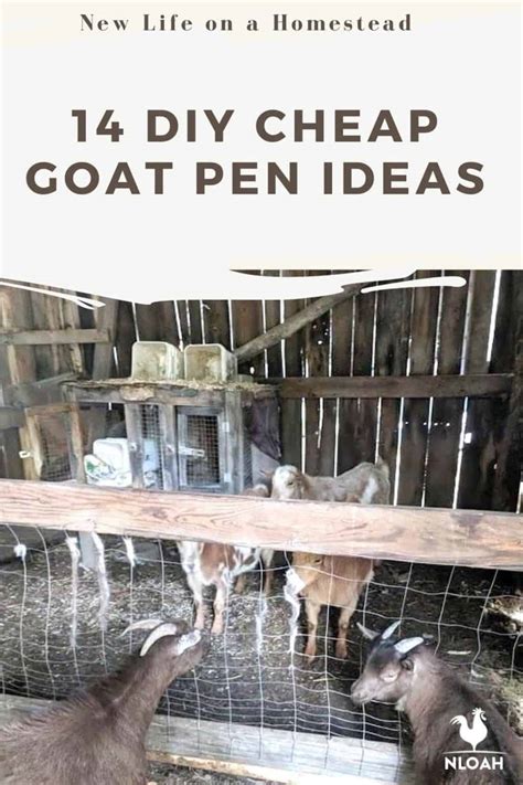 14 DIY Mostly Cheap Goat Pen Ideas