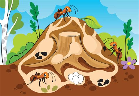 An Anthill In A Section With Ants And Passages Stands On A Stump