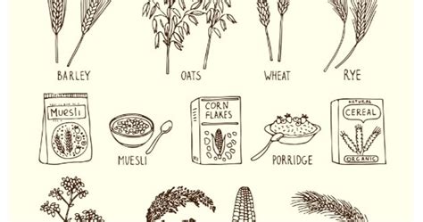 Food Commodity Cereals