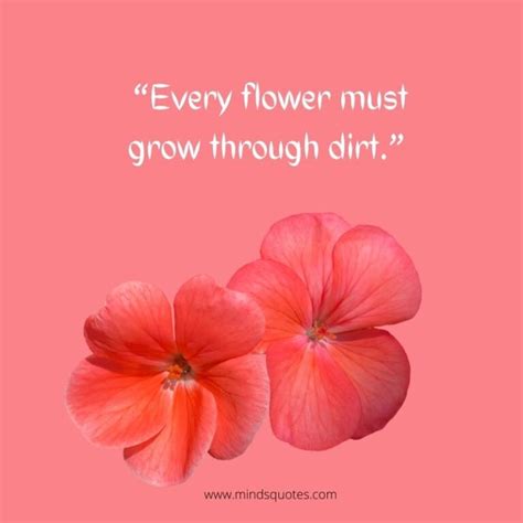 55+ BEST Flower Quotes For Love And Life & Peace