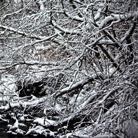 Chaos poétique Près de ma rivière sauvage Un sa Flickr