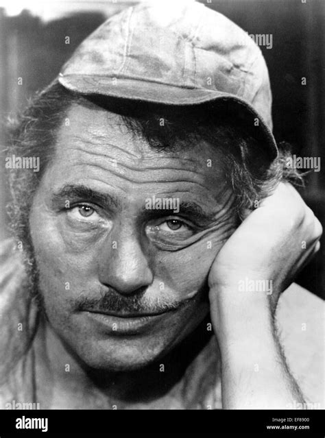 ROBERT SHAW JAWS (1975 Stock Photo: 78243984 - Alamy