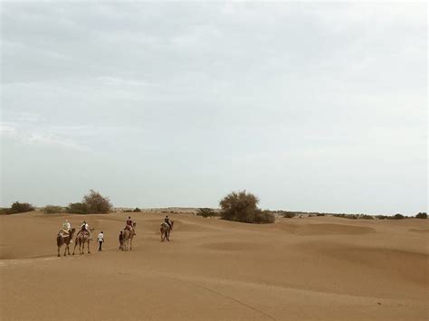 Stunning Sand dunes in Jaisalmer Rajasthan. (Sam, Khuri & Lodhruva)