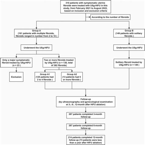 Efficacy And Safety Of Ultrasound Guided High Intensity Focused