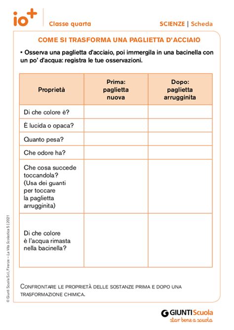 Come Si Trasforma Una Paglietta D Acciaio Giunti Scuola